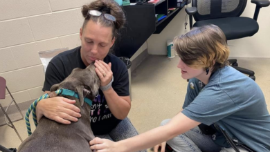 Dog Rescue Founder Reunites With Pit Bull Lost After 8 Years Away