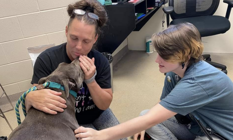 Dog Rescue Founder Reunites With Pit Bull Lost After 8 Years Away