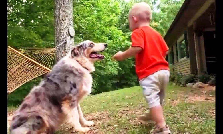 Mom and Dad panicked when the dog fell on the baby in the yard, then they saw the baby's legs