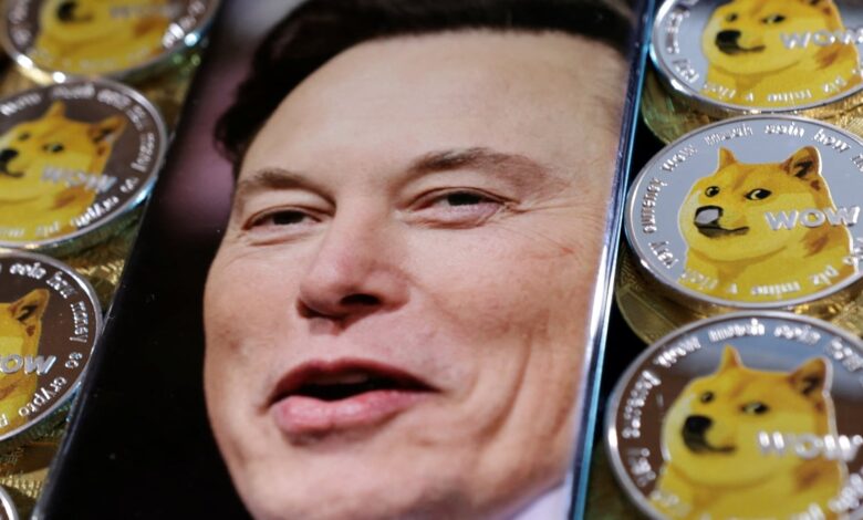 Elon Musk says in favor of Dogecoin.  You won't believe why!