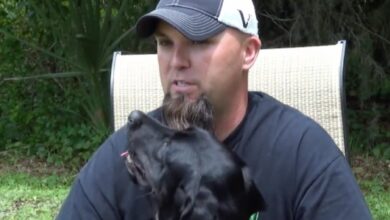 Service dog 'Calm down' Veteran with survivor's guilt before he can have a 'panic' attack
