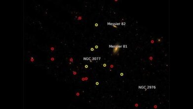What faint dwarf galaxies can tell astronomers about galaxy formation