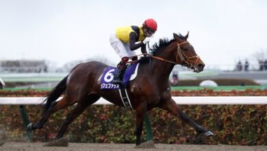Cafe Pharoah Tries Grass In BC Qualifier in Japan