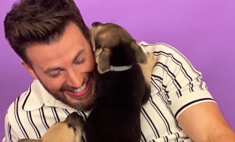 Watch Chris Evans Surrounded by Puppies in 'Best Interview of My Life'