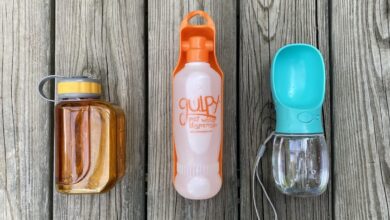 Malsipree OllyDog Gulpy dog ​​water bottle