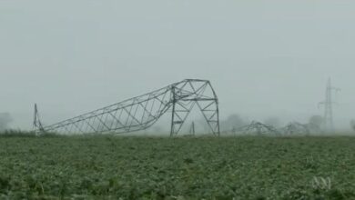 Australian Farmers Claim Compensation for New Green Grid - Rise for it?