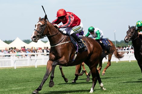 The Ridler Wins Norfolk Stakes With Controversial Race