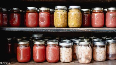 Fermented Foods May Be a Key Component of an Anticancer Menu