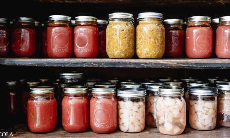 Fermented Foods May Be a Key Component of an Anticancer Menu
