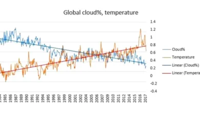 The clouds weren't behaving the way the IPCC or the models said - Frustrated with that?