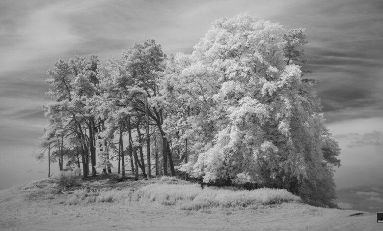 The Joy of Infrared Landscape Photography