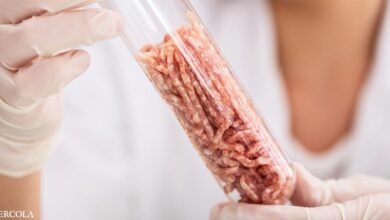 The lie behind lab-grown fake meat