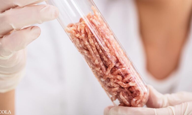 The lie behind lab-grown fake meat