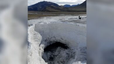Microbes Found Thriving in a Low-Oxygen, Super-Salty, Sub-Zero Spring in Canadian Arctic