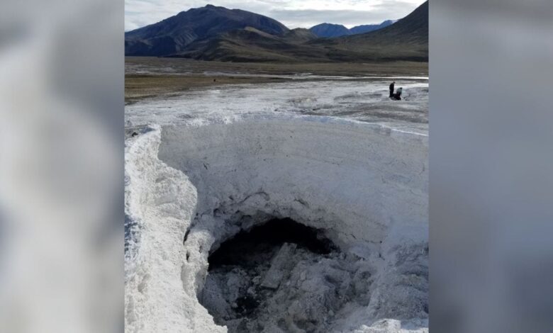 Microbes Found Thriving in a Low-Oxygen, Super-Salty, Sub-Zero Spring in Canadian Arctic