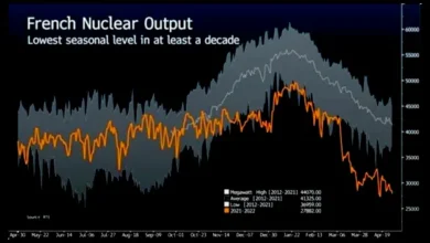 French nuclear shutdown takes up to 50% of reactors, supply is cut - Huge drop because of that?