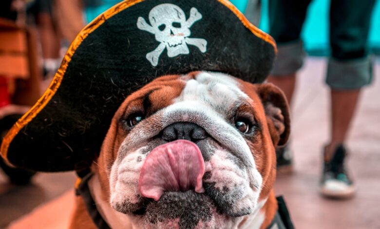 pirate names for dogs