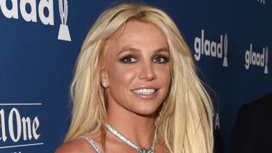 Britney Spears "Shaken Up" After Jason Alexander Was Arrested On The Wedding Day