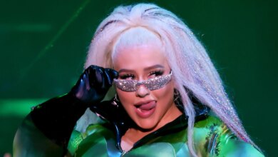 Christina Aguilera wears a Hulk costume with a strapless penis at LA Pride