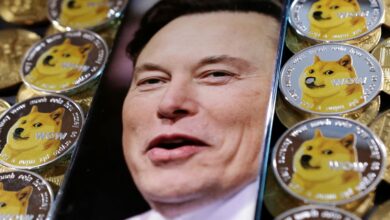 Elon Musk Sued For $258 Billion For Claiming He Was Running A Pyramid Scheme To Promote Dogecoin |  Science & Technology News