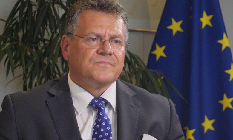 Maros Sefcovic / Vice-President of the European Commission