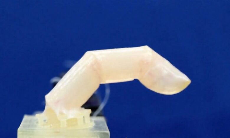 This bending robotic finger is covered in human skin. Pic: PA