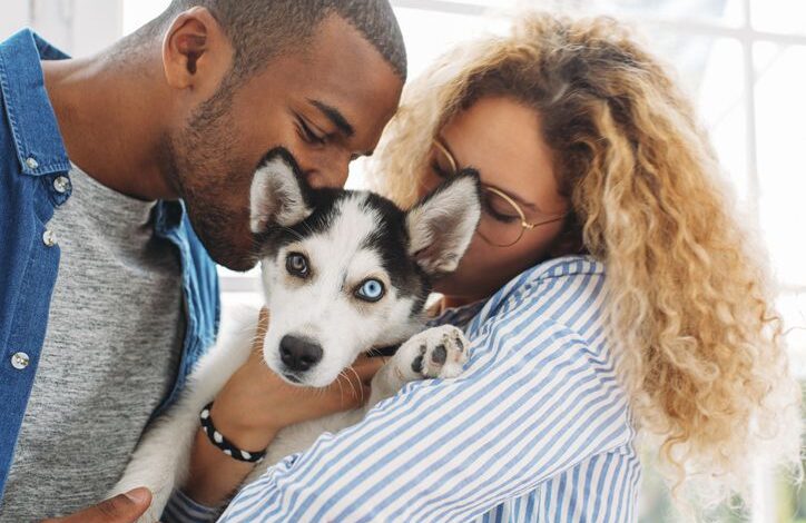 what is heterochromia in dogs