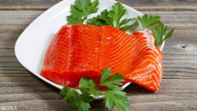 Wild Alaskan Salmon Is a Powerhouse of Nutrition