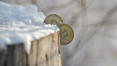 Why the 'crypto winter' of 2022 is not like previous bear markets