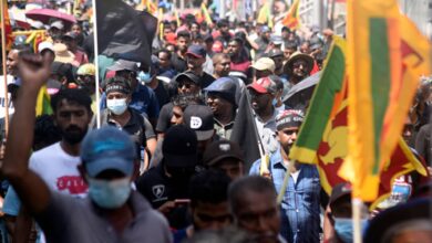 Sri Lanka 'can't get out of crisis without China', professor says