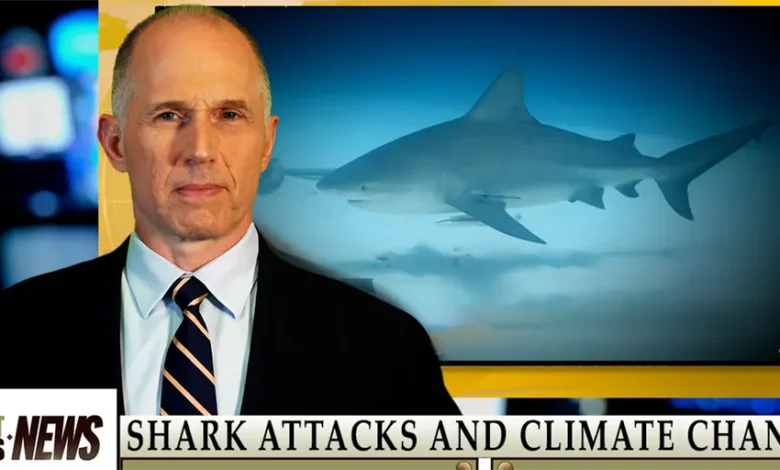 Shark Attacks and Climate Change - Do You Stand Out for That?