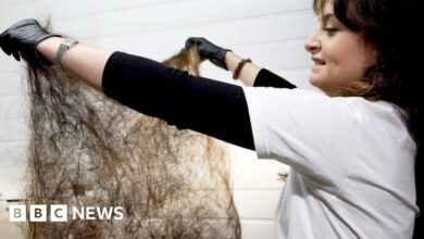 Using human hair to prevent oil spills