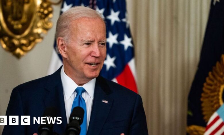 Abortion in the US: Biden to sign executive order on protection of access