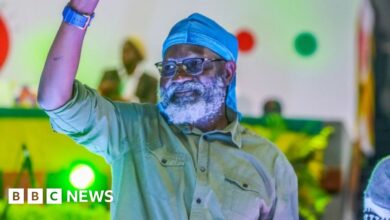 George Wajackoyah Spiced Kenyan Elections With Marijuana and Snake Venom