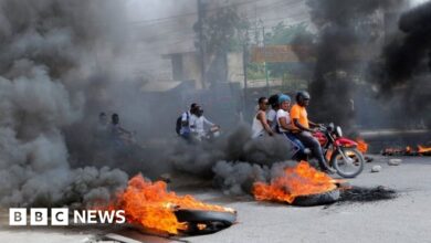 Haitian gang violence: UN votes to ban small arms trade