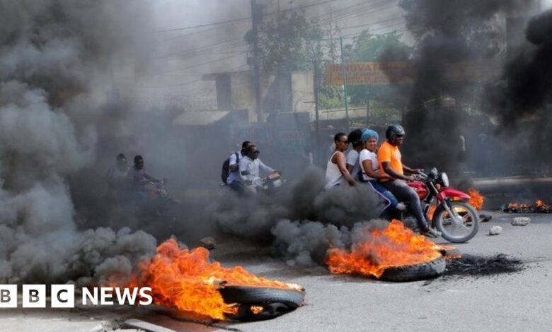 Haitian gang violence: UN votes to ban small arms trade