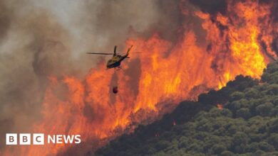 European heatwave: Deadly wildfires spread in the Mediterranean