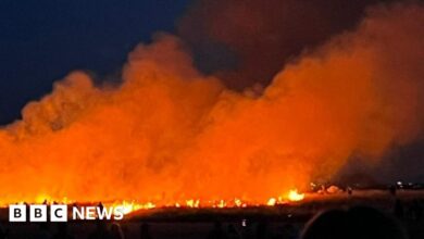 Absolute Flame: Flame engulfs coastal park after fireworks display