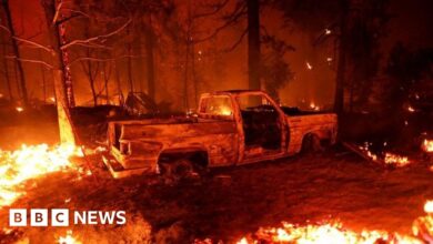 Oak Fire: State of emergency declared as wildfire rages near Yosemite National Park