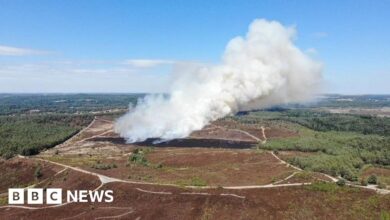 Surrey 'major incident' declared like grass fire burning