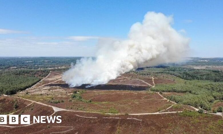 Surrey 'major incident' declared like grass fire burning