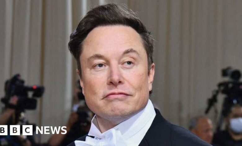 Elon Musk denies having an affair with Google co-founder's wife