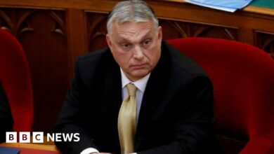 Advisor Viktor Orban Hegedus resigns over 'purely Nazi' speech