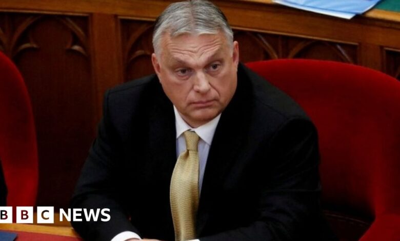 Advisor Viktor Orban Hegedus resigns over 'purely Nazi' speech