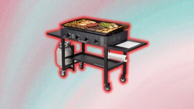5 best grill ovens in 2022