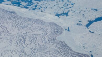 Since 2000, the Arctic's Hudson Bay has cooled by -0.35°C with 10 out of 15 sites gaining sea ice - Rise thanks to that?