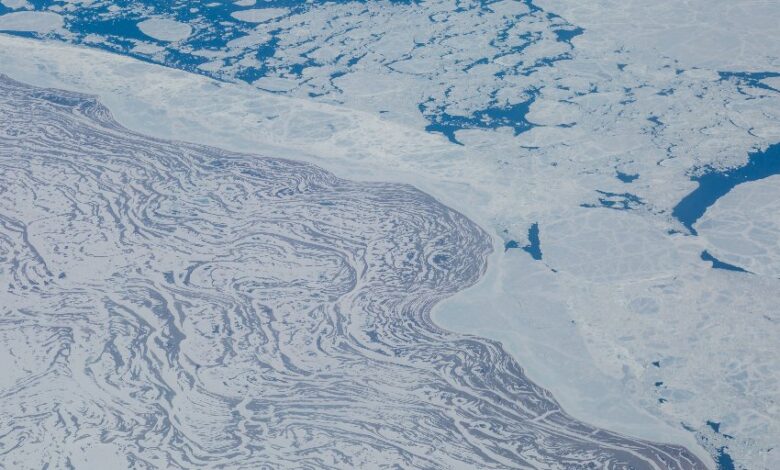 Since 2000, the Arctic's Hudson Bay has cooled by -0.35°C with 10 out of 15 sites gaining sea ice - Rise thanks to that?