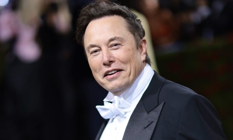 Elon Musk quietly met the twins with one of his moderators weeks before his second child with Grimes