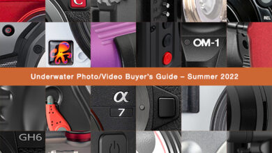 Underwater Photo/Video Buyer’s Guide – Summer 2022