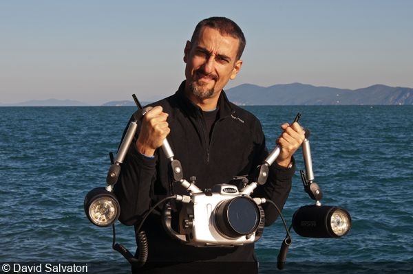 Underwater photographer David Salvatori tragically died in a diving accident